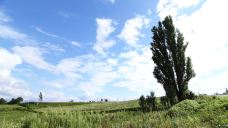 美瑛町-尊敬的会员