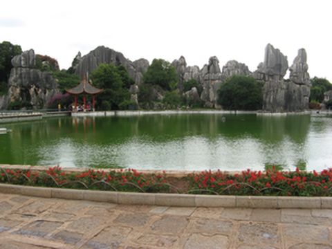 云南、四川19日蜜月之旅(一)出行准备+昆明+西双版纳