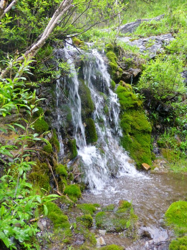 北山國家森林公園