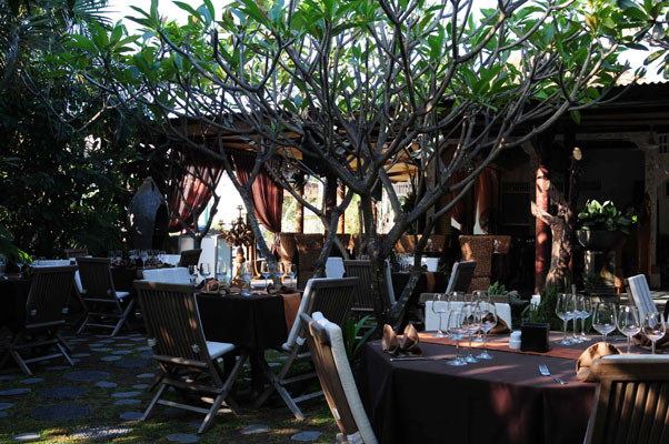 Paris Cat Jazz Club Travel Guidebook Must Visit Attractions In