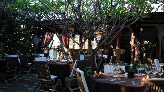 Paris Cat Jazz Club Travel Guidebook Must Visit Attractions In