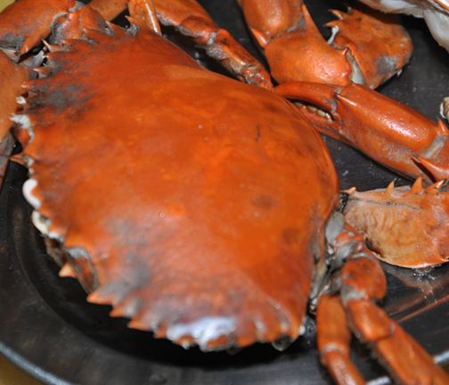 Xiao Shan Bei Seafood Process