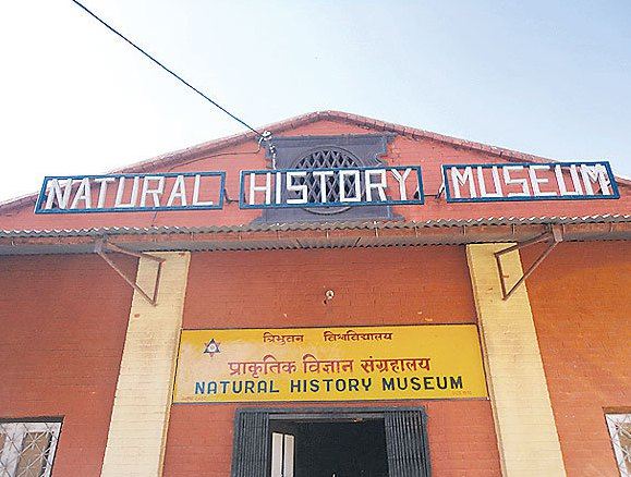 The Natural History Museum