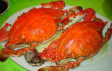 梭子蟹