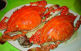 梭子蟹