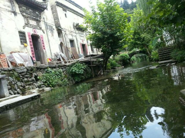 芹川村