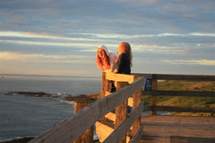 墨尔本游记图片] 独行澳大利亚之八墨尔本菲利普岛