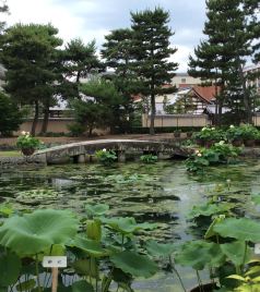 京都府游记图文-走遍京都（大相国寺－上御灵神社－下鸭神社－河合神社与鸭川公园）