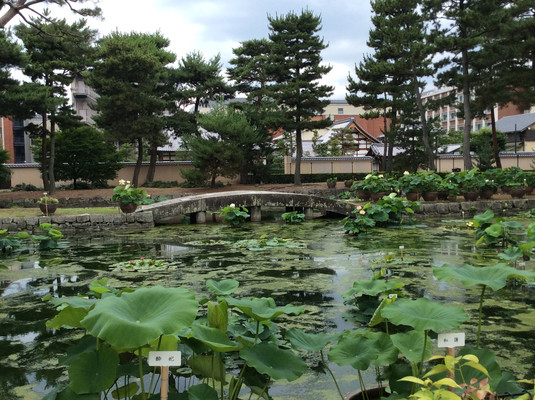 走遍京都（大相国寺－上御灵神社－下鸭神社－河合神社与鸭川公园）