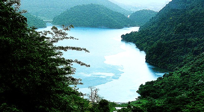桐木岭