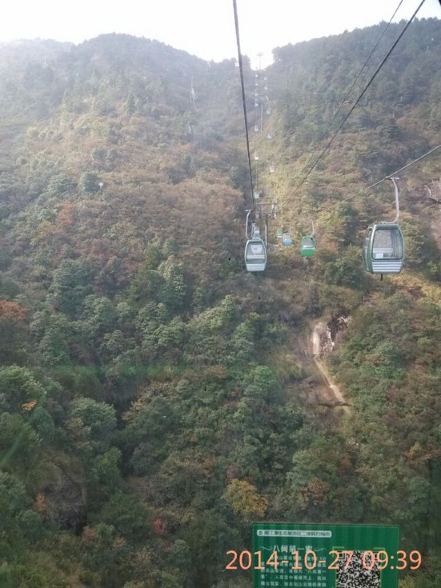 금뇨산