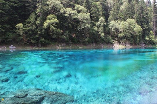 五位女汉子若尔盖、九寨三日游