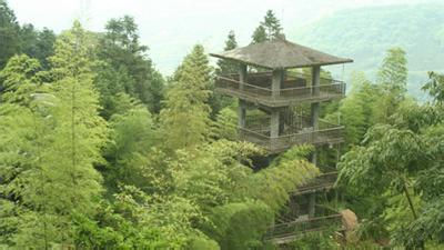 凤凰谷鸟园