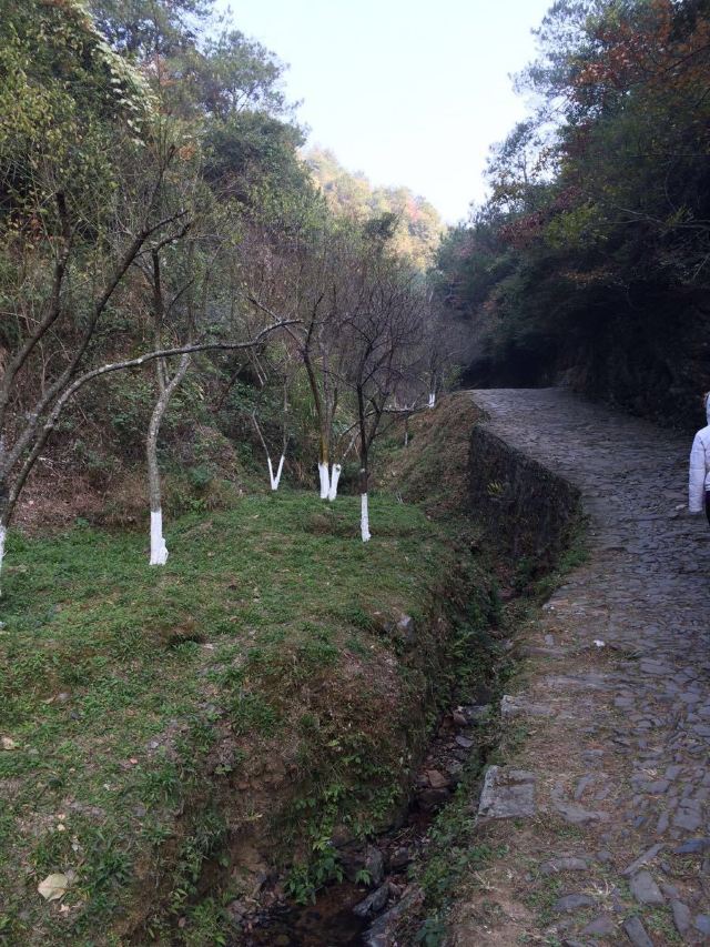 메이관(매관) 고도