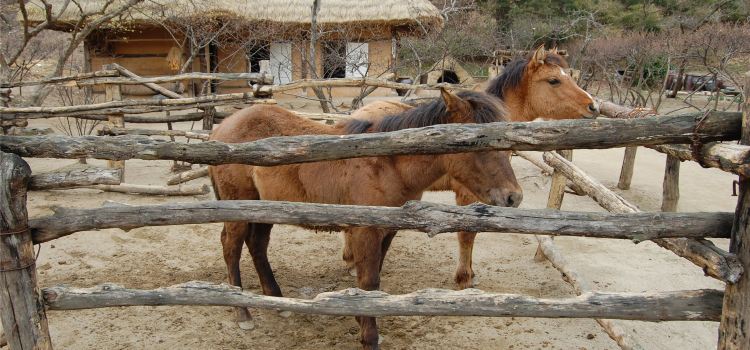 Korean Folk Village Tickets Deals Reviews Family - 