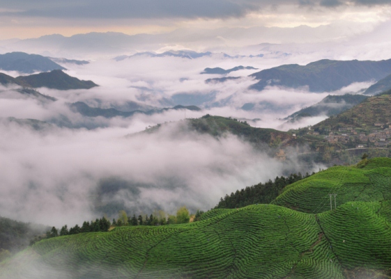 卯山