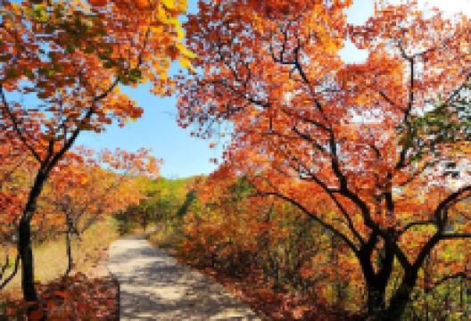 渑池旅游图片-渑池2日游