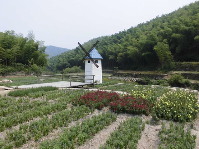 저둥대나무관광지
