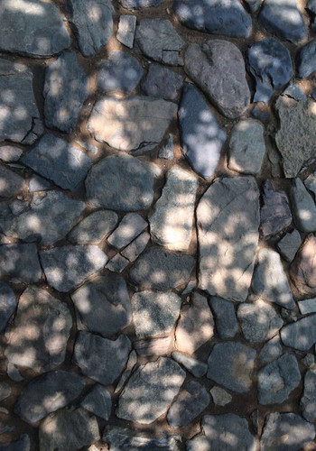 牟氏庄园。 社会实践大课堂之一