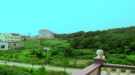 花鸟绿华景区