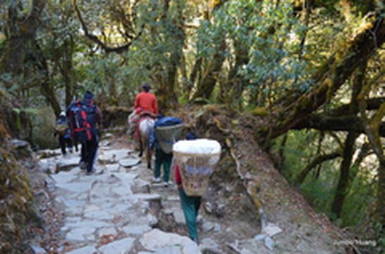 尼泊尔游记图片] 醉爱尼泊尔