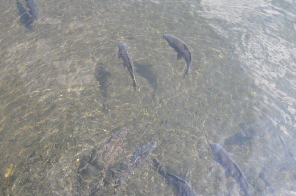 博鱼体育- 博鱼体育官方网站- 博鱼体育最新网址郑州科技学院在全国三维数字化创新设计大赛省赛中获多项大奖