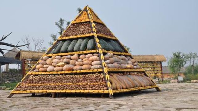 杭州良渚农夫乐园巴士一日游(银联信用卡(62开头)专享 每成人立减62元