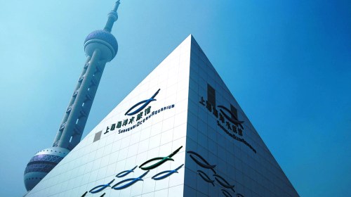 2021年上海海洋经济总量_2021年上海地铁线路图