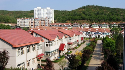 晋城高平市南赵庄村人口_高平市南朱庄村