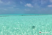 泰姬珍品岛景点图片