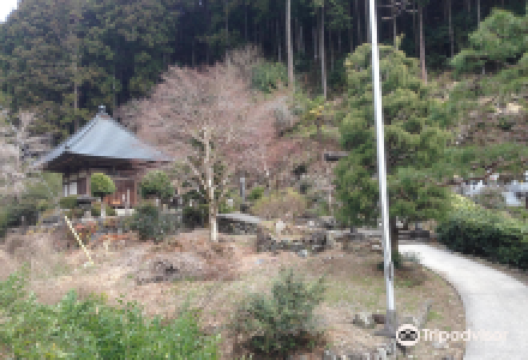 天之宫神社景点图片