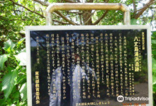 汤浜遗迹 仓轮遗迹景点图片