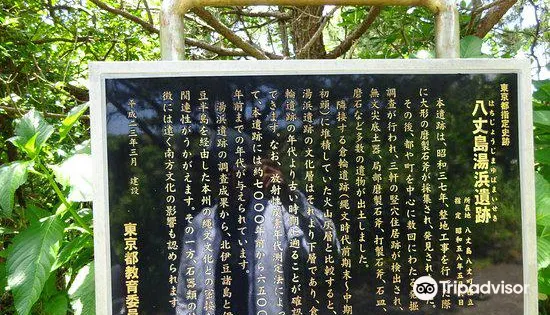 湯浜遺跡 倉輪遺跡