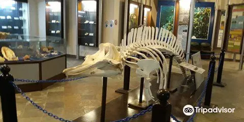 Marine Aquarium and Museum