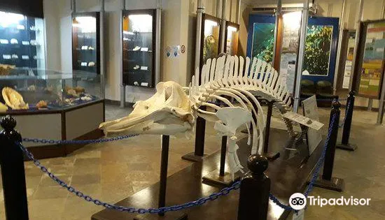 Marine Aquarium and Museum