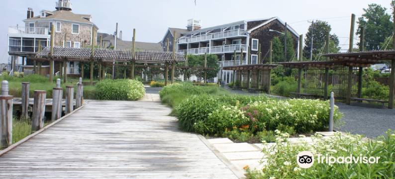 运河广场酒店(The Inn at Canal Square)图片