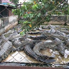 Asam Kumbang Crocodile Farm-棉兰