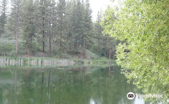 彩虹湖城堡度假村(Rainbow Lake Castle Resort)图片