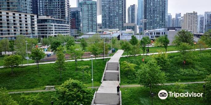 加拿大国家电视塔附近套房公寓式客房酒店(Condo Suites Near CN Tower)图片