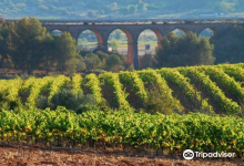 Domaine De Roquemale景点图片