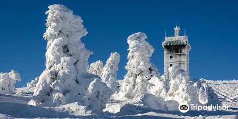 哈爾茨國家公園