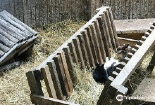 晓星供销商场购物图片