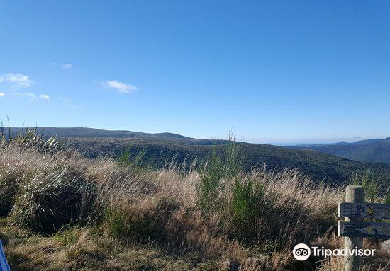 Donut Land餐厅图片