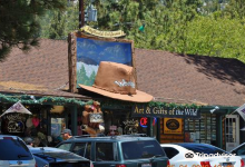 Idyllwild Nature Center景点图片