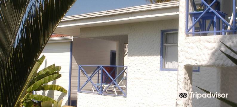 洛卡盖伊酒店(Gay Hotel Villa Roca)图片