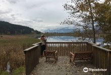 Reflection Lake景点图片