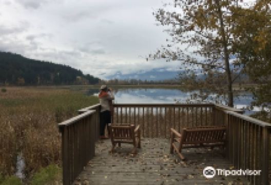 Reflection Lake Rd景点图片