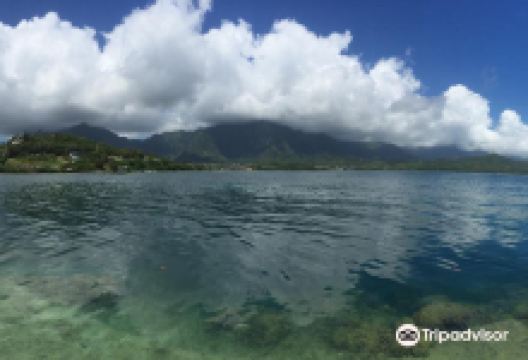 Paepae O He'eia景点图片
