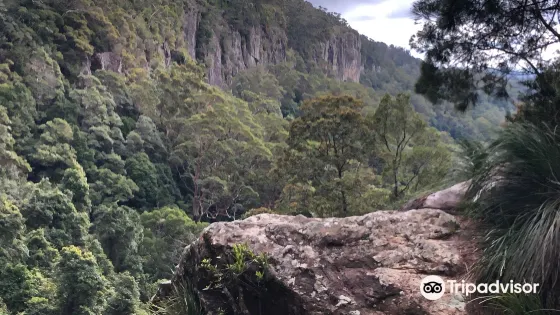 Illaweena Picnic Area