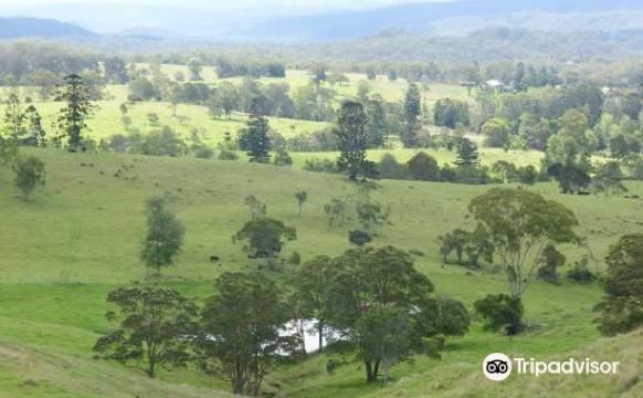 安杜兰巴霍姆斯德住宿加早餐旅馆(Anduramba Homestead B&B)图片